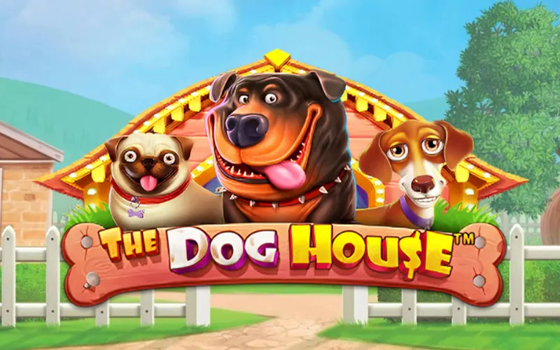 Play and win big prizes with The Dog House on JeetCity.